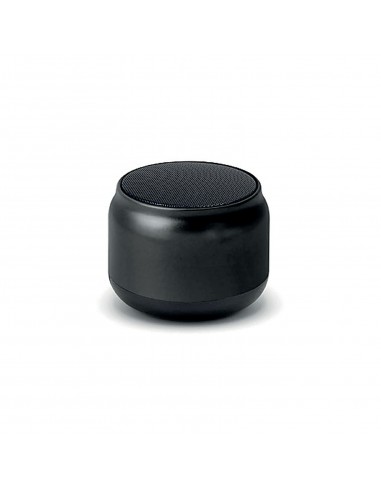 SPK-45 Speaker