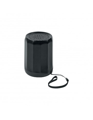 SPK-100 Speaker