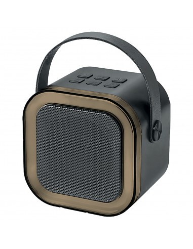 SPK-70 Speaker