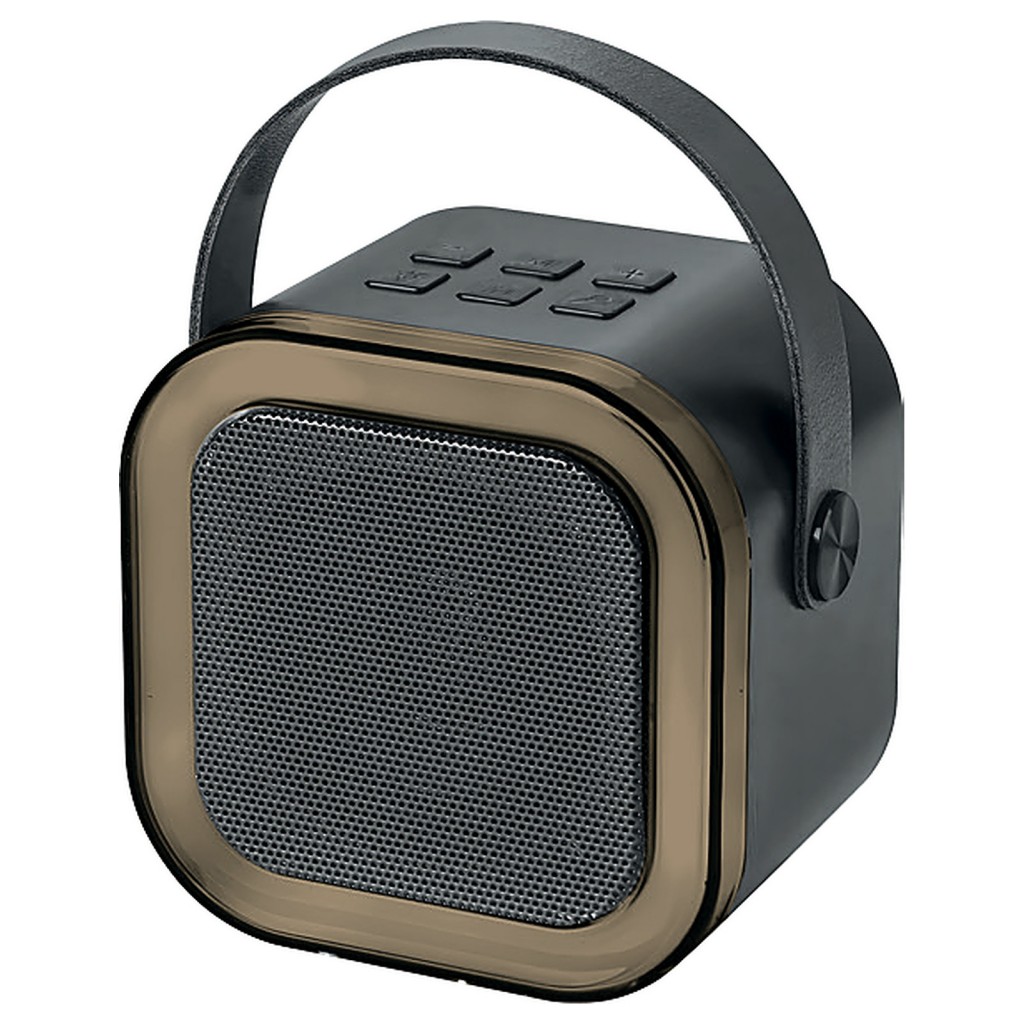 SPK-70 Speaker