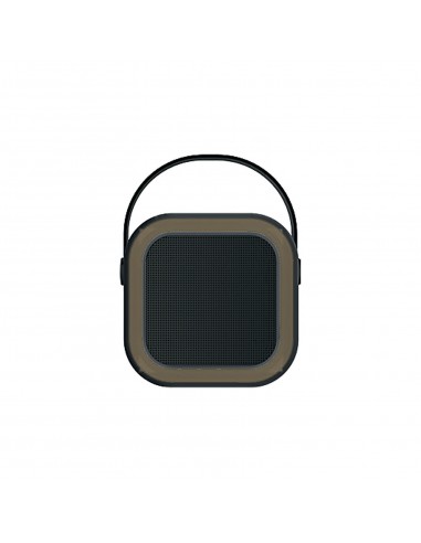 SPK-70 Speaker