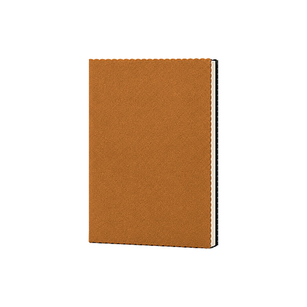 Erciyes Defter