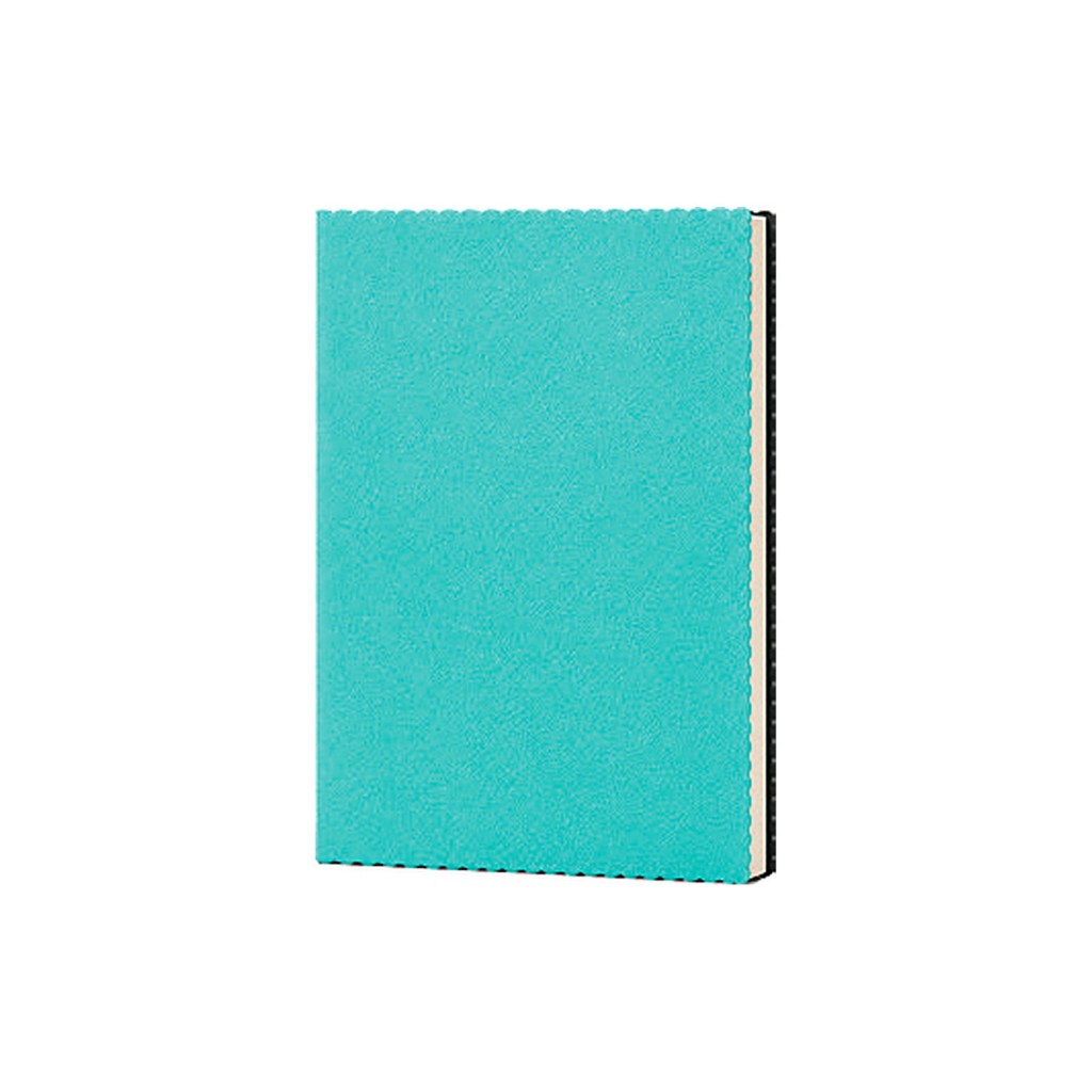 Erciyes Defter