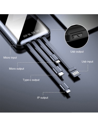 PB-4004 10.000 mAh Powerbank