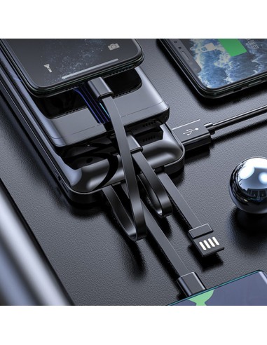 PB-4004 10.000 mAh Powerbank