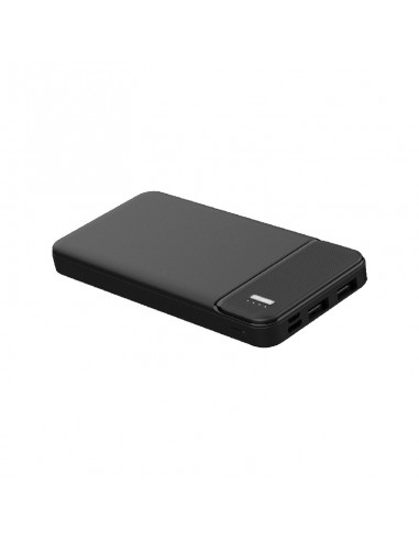 PB-4011 10.000 mAh Powerbank