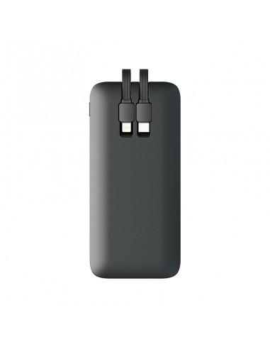PB-4018 20.000 mAh Powerbank