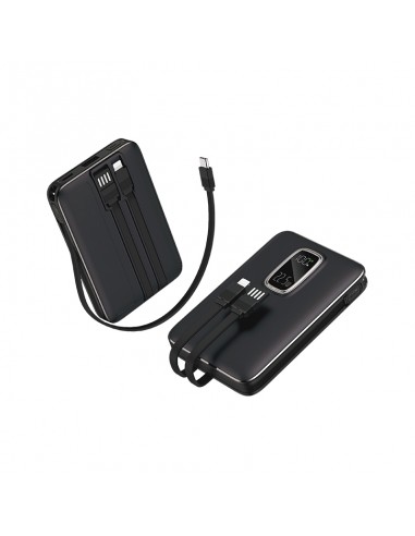 PB-4019 10.000 mAh Powerbank