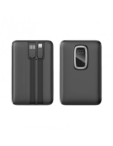 PB-4019 10.000 mAh Powerbank