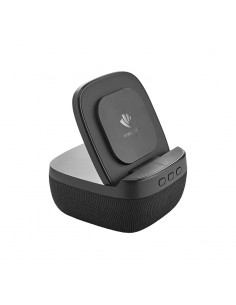 4250 Wireless Şarj & Hoparlör