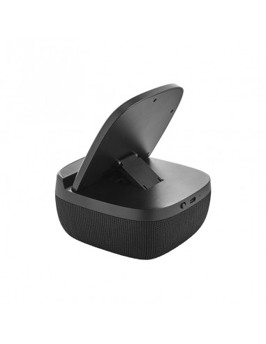 4250 Wireless Şarj & Hoparlör