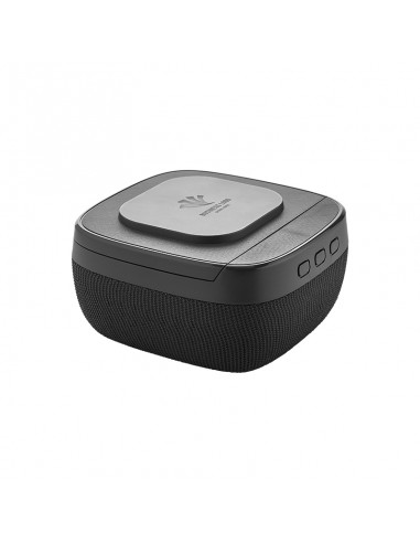 4250 Wireless Şarj & Hoparlör