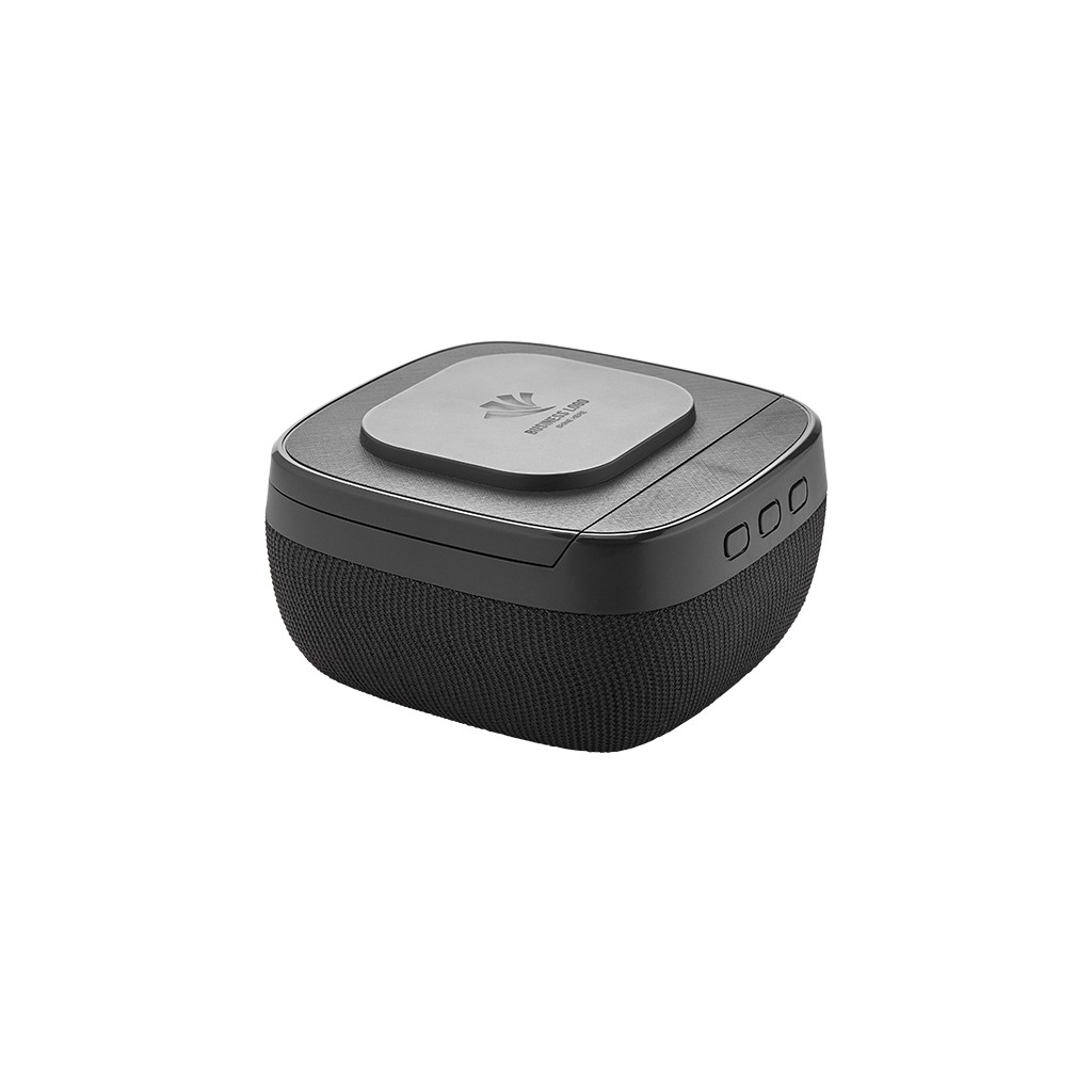 4250 Wireless Şarj & Hoparlör