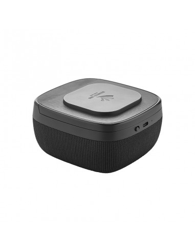 4250 Wireless Şarj & Hoparlör