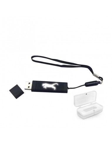 F-200-32 32 GB Işıklı Rubber Usb