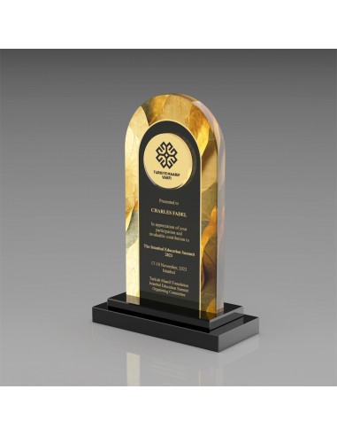 PB806 Kristal Plaket