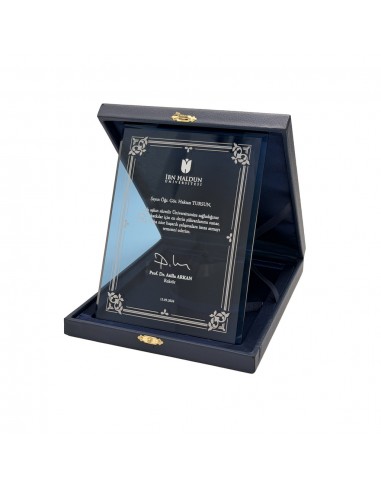 PB2020 15X20 Kristal Plaket