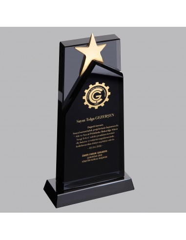 PB964 Kristal Plaket