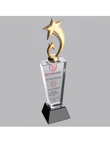 PB955 Kristal Plaket