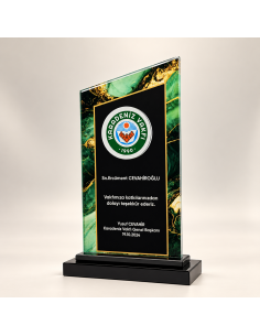 PB809 Kristal Plaket